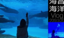 海洋世界视频,海洋世界视频深度解析